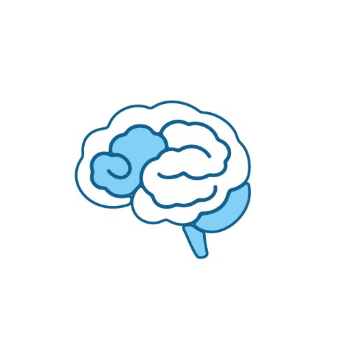 Brain icon